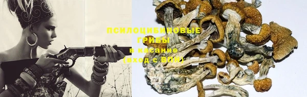 прущий лед Алексеевка