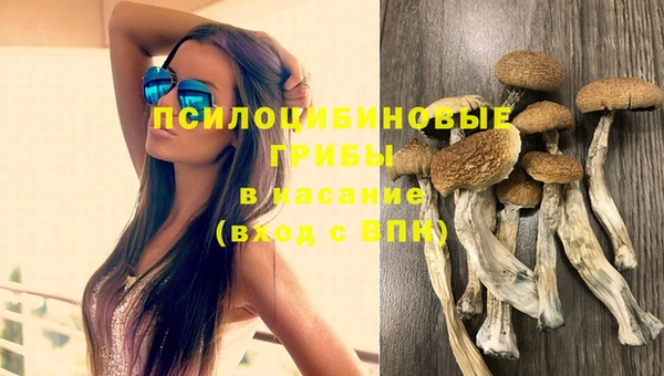 прущий лед Алексеевка