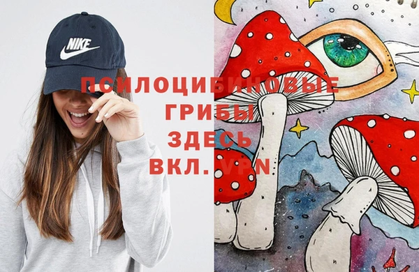 прущий лед Алексеевка