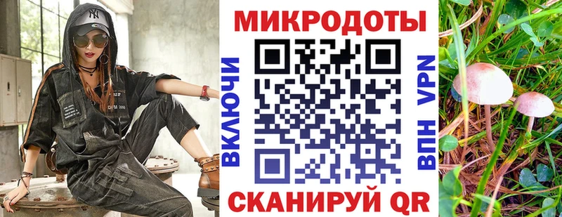 Псилоцибиновые грибы мухоморы  Арсеньев 