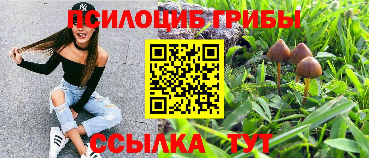 Галлюциногенные грибы мицелий  Вход с VPN  Арсеньев 