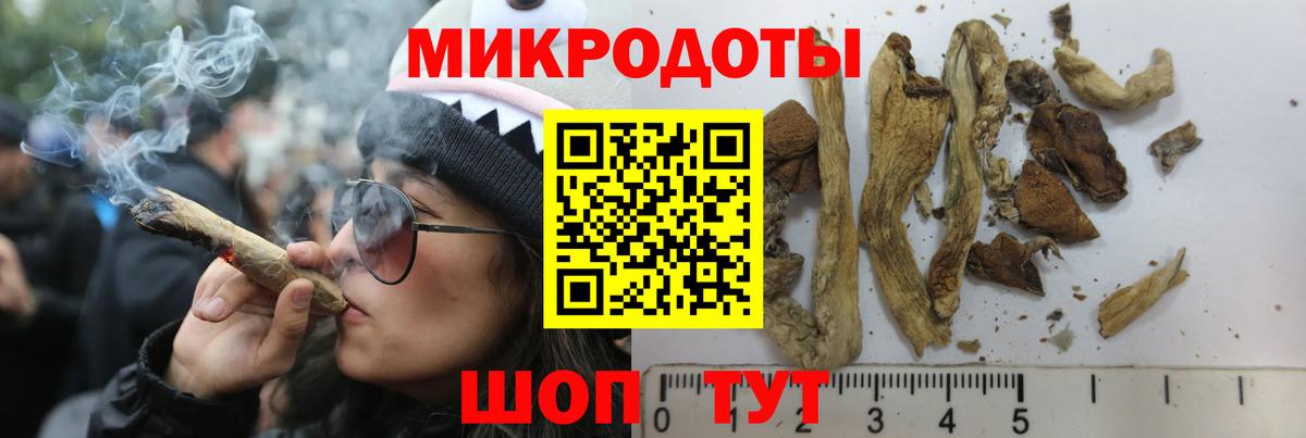 Галлюциногенные грибы мухоморы Арсеньев